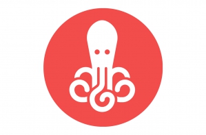 Capital Innovation OCTOPULSE lundi 1 avril 2019 Capital Innovation OCTOPULSE lundi 1 avril 2019