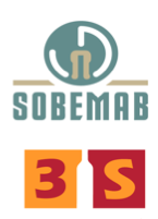 Capital Développement PACKING (SOBEMAB 3S) lundi 28 janvier 2019 Capital Développement PACKING (SOBEMAB 3S) lundi 28 janvier 2019