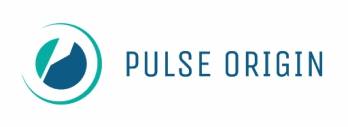 Capital Innovation PULSE ORIGIN mardi 31 décembre 2019 Capital Innovation PULSE ORIGIN mardi 31 décembre 2019