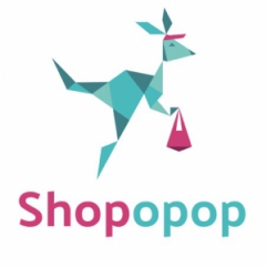 Capital Innovation SHOPOPOP (AGILINNOV) mardi 30 novembre 2021 Capital Innovation SHOPOPOP (AGILINNOV) mardi 30 novembre 2021