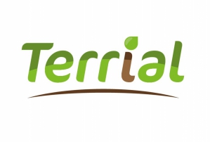 M&A Corporate TERRIAL lundi 4 février 2019 M&A Corporate TERRIAL lundi 4 février 2019