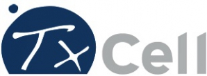 Bourse TXCELL lundi 3 décembre 2018 Bourse TXCELL lundi 3 décembre 2018