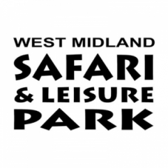 Build-up WEST MIDLAND SAFARI PARK jeudi 20 décembre 2018