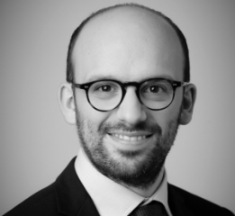 Frédéric Bosc, Desfilis