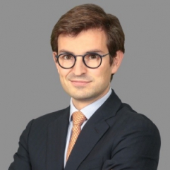 Nicolas Vienot, Alantra Nicolas Vienot, Alantra