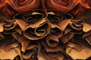 © Authentic Material