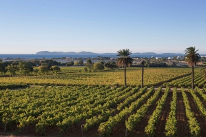 Château du Galoupet