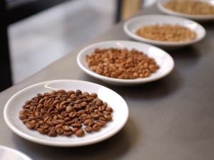 © Maître du Terroir (Coutume) © Maître du Terroir (Coutume)