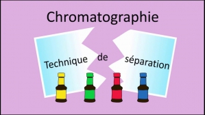Separative,  leader de la Chromatographie Multicapillaire Haute Performance (HPMC) pour l'industrie pharmaceutique. Separative,  leader de la Chromatographie Multicapillaire Haute Performance (HPMC) pour l'industrie pharmaceutique.