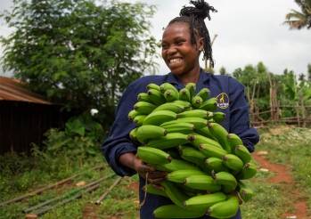 Nouvelle moisson pour Twiga Foods, distributeur kényan de produits agricoles - © Twiga Foods Nouvelle moisson pour Twiga Foods, distributeur kényan de produits agricoles - © Twiga Foods